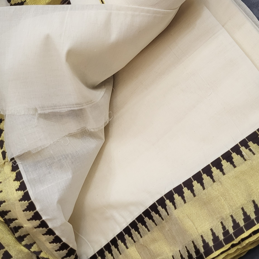 Indian Traditional Saree